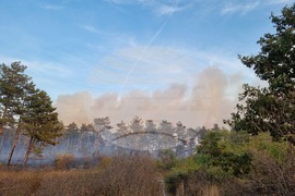 Варна - гора - пожар