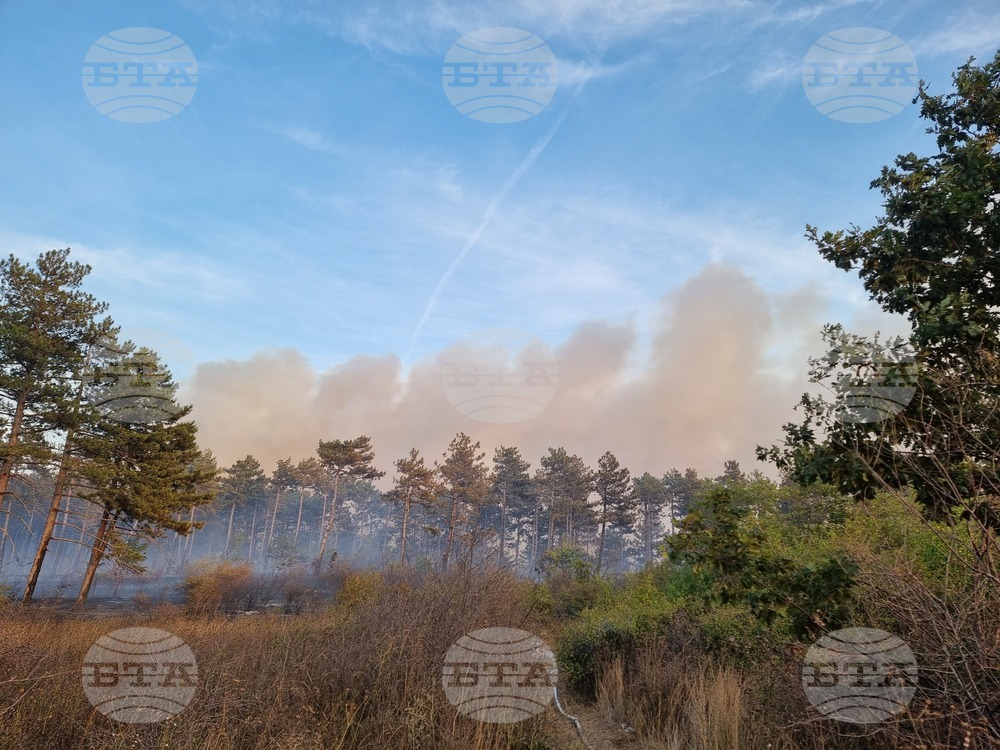 Варна - гора - пожар