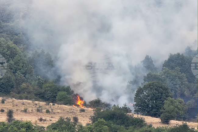 Седем пожара в сухи треви и отпадъци на територията на Пернишко са регистрирани през почивните дни