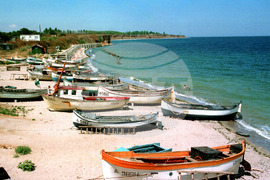 Община Шабла - празник