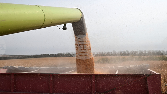 Глобалните стокови пазари останаха сравнително спокойни през изминалата седмица, отчитат експертите на Софийската стокова борса