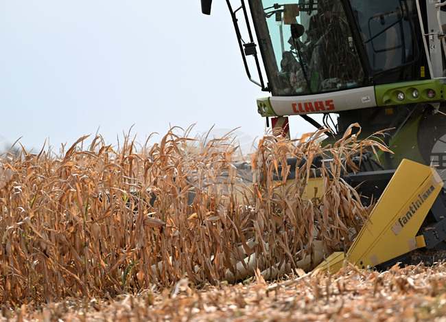 Спокойна седмица за световната търговия със зърнени стоки отчита Софийската стокова борса
