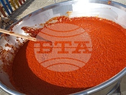 Снимка: Община Стара Загора