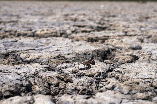 Нивото на водата в язовирите край Истанбул продължава да спада въпреки обилните есенни валежи 