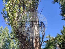 Снимка: Община Плевен