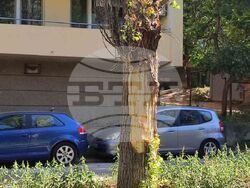 Снимка: Община Плевен