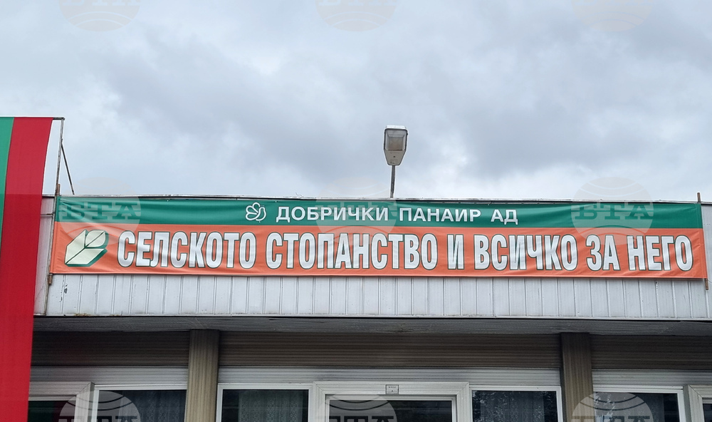 Изложението "Селското стопанство и всичко за него" ще се проведе в Добрич в края на август