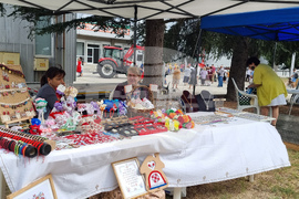 Добрич - „Селското стопанство и всичко за него“ - изложение