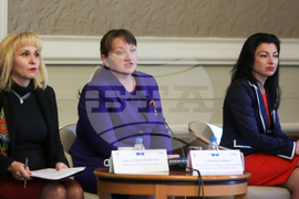 Диана Ковачева - Програма ROMACT - дискусия