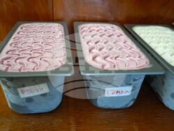 Снимка: Община Плевен