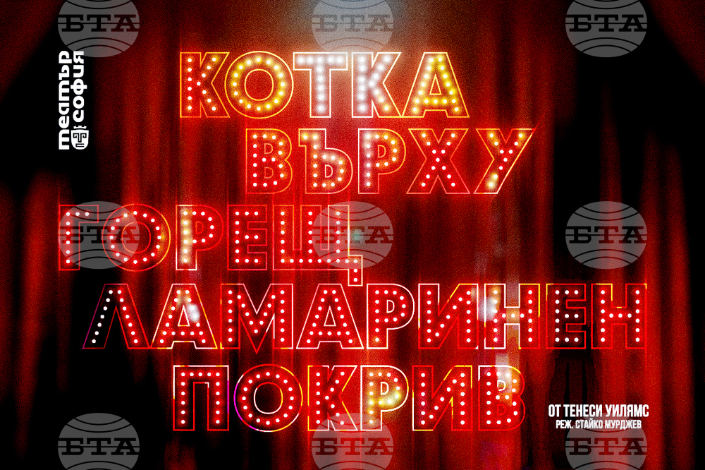 Театър „София“ обявява кастинг за роля в „Котка върху горещ ламаринен покрив“