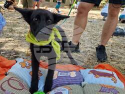 Снимка: Община Варна