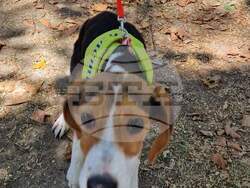 Снимка: Община Варна