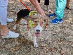 Снимка: Община Варна