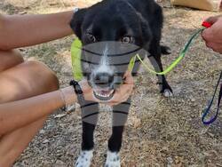 Снимка: Община Варна