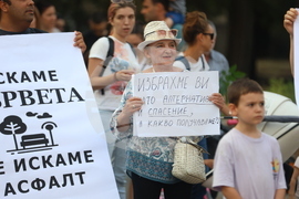 Протестно шествие - "Да спасим дърветата на „Опълченска“