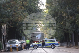 Протестно шествие - "Да спасим дърветата на „Опълченска“