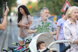 Протестно шествие - "Да спасим дърветата на „Опълченска“