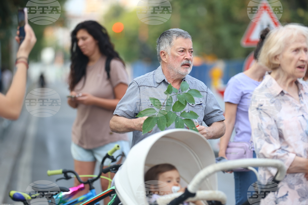 Протестно шествие - "Да спасим дърветата на „Опълченска“