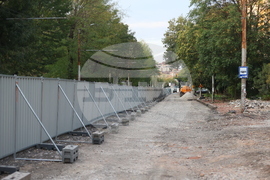 Протестно шествие - "Да спасим дърветата на „Опълченска“