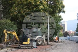 Протестно шествие - "Да спасим дърветата на „Опълченска“