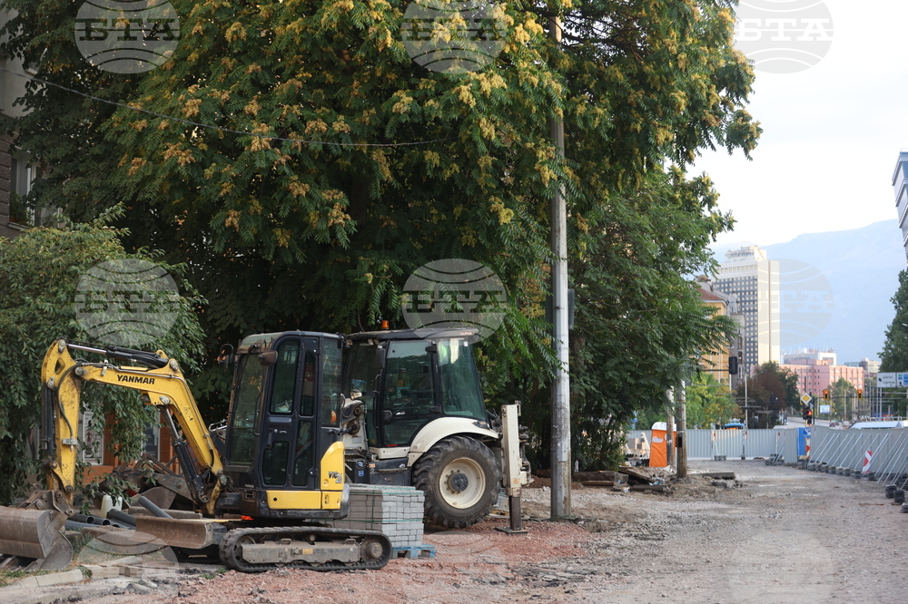 Протестно шествие - "Да спасим дърветата на „Опълченска“