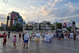 Протестно шествие - "Да спасим дърветата на „Опълченска“