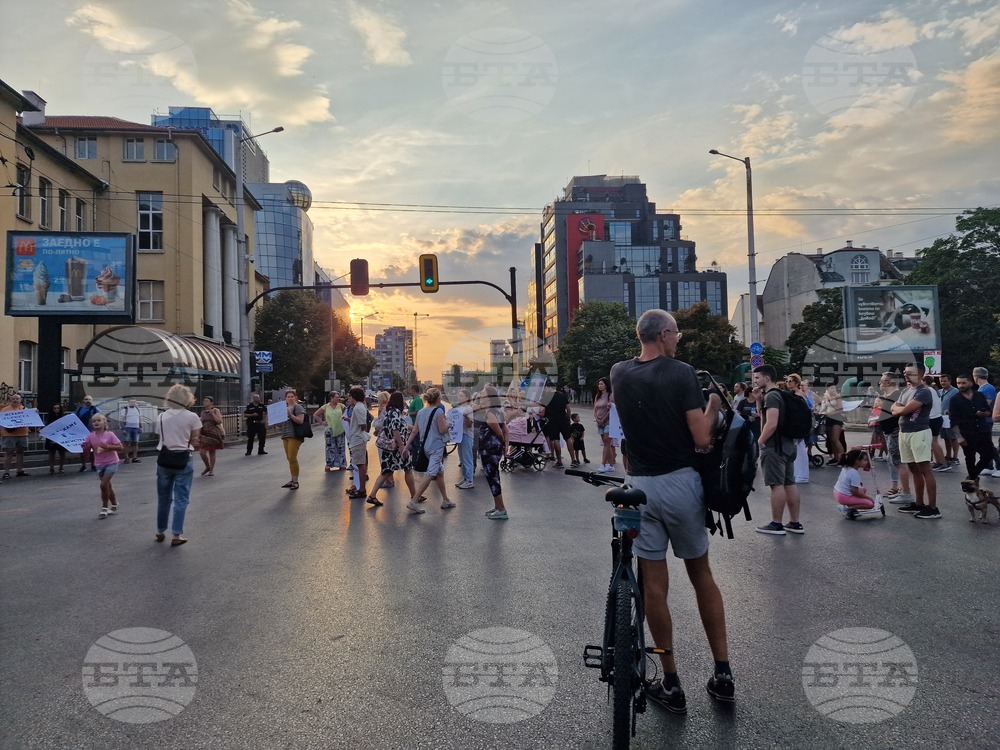 Протестно шествие - "Да спасим дърветата на „Опълченска“