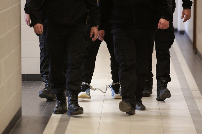 Cabinet Introduces Effective Judicial Remedy for Issuing European Arrest Warrants