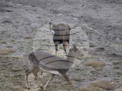 Над 700 младежи взеха участие в инициативи за по-добра околна среда