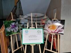 Над 700 младежи взеха участие в инициативи за по-добра околна среда