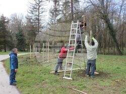Снимка: Община Плевен - дървета