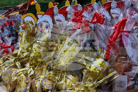 Момчилград - Коледно-новогодишен базар