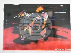 Снимка: Община Сливен