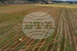 Село Алино - полета - изглед