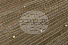 Село Алино - полета - изглед