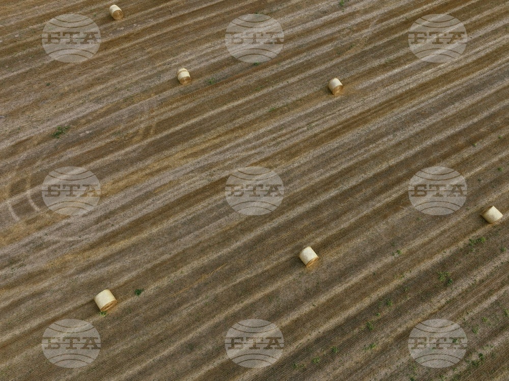 Село Алино - полета - изглед