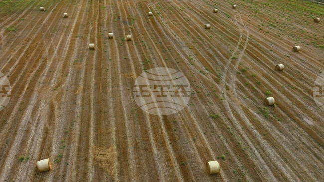 Българската асоциация на собствениците на земеделски земи е против предлагани законодателни промени, свързани със сроковете на договорите за ползване и цените на рентите