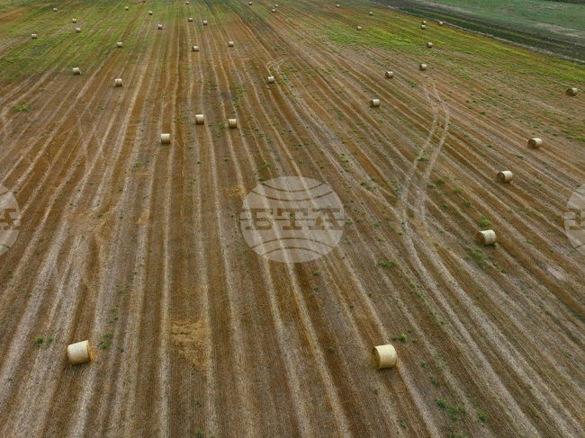Българската асоциация на собствениците на земеделски земи е против предлагани законодателни промени, свързани със сроковете на договорите за ползване и цените на рентите