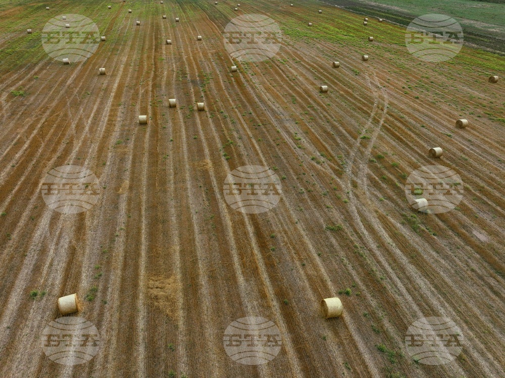 Село Алино - полета - изглед