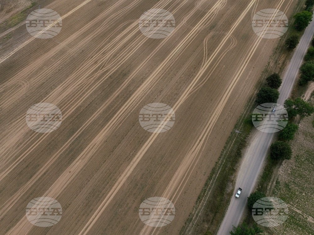 Село Алино - полета - изглед