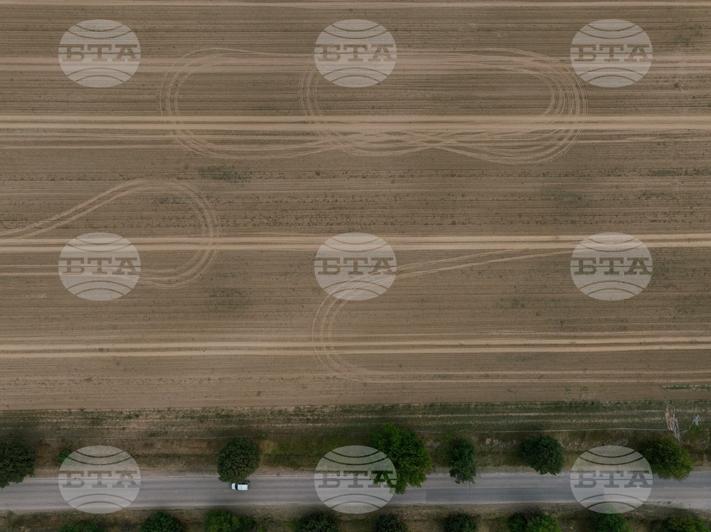 Село Алино - полета - изглед