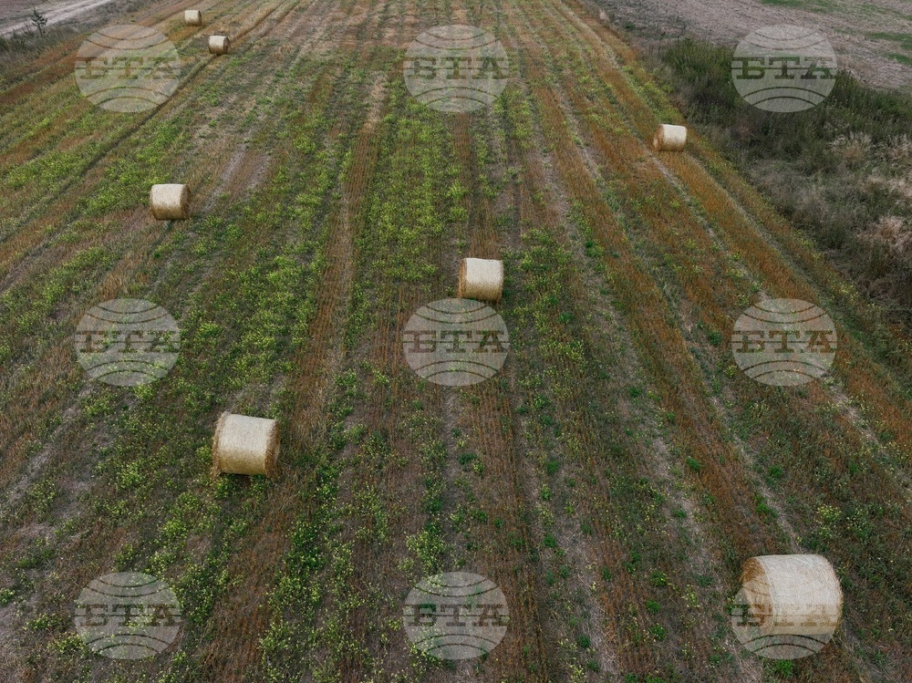 Село Алино - полета - изглед