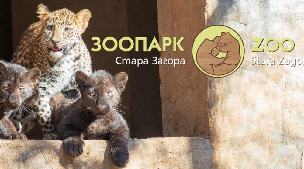 Община Стара Загора: Бебе пони радва посетителите на Зоопарк Стара Загора