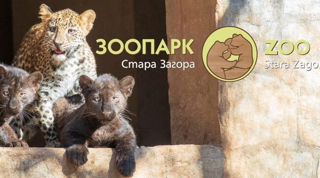 Община Стара Загора: Бебе пони радва посетителите на Зоопарк Стара Загора