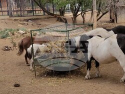 Снимка: Община Стара Загора