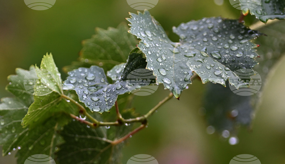 The Weather on March 31