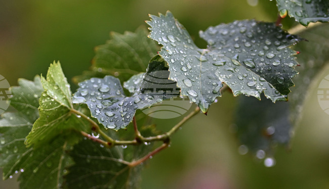 The Weather on March 31