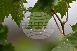 Исперих - дъждовно време