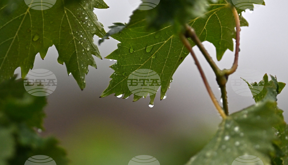 Исперих - дъждовно време